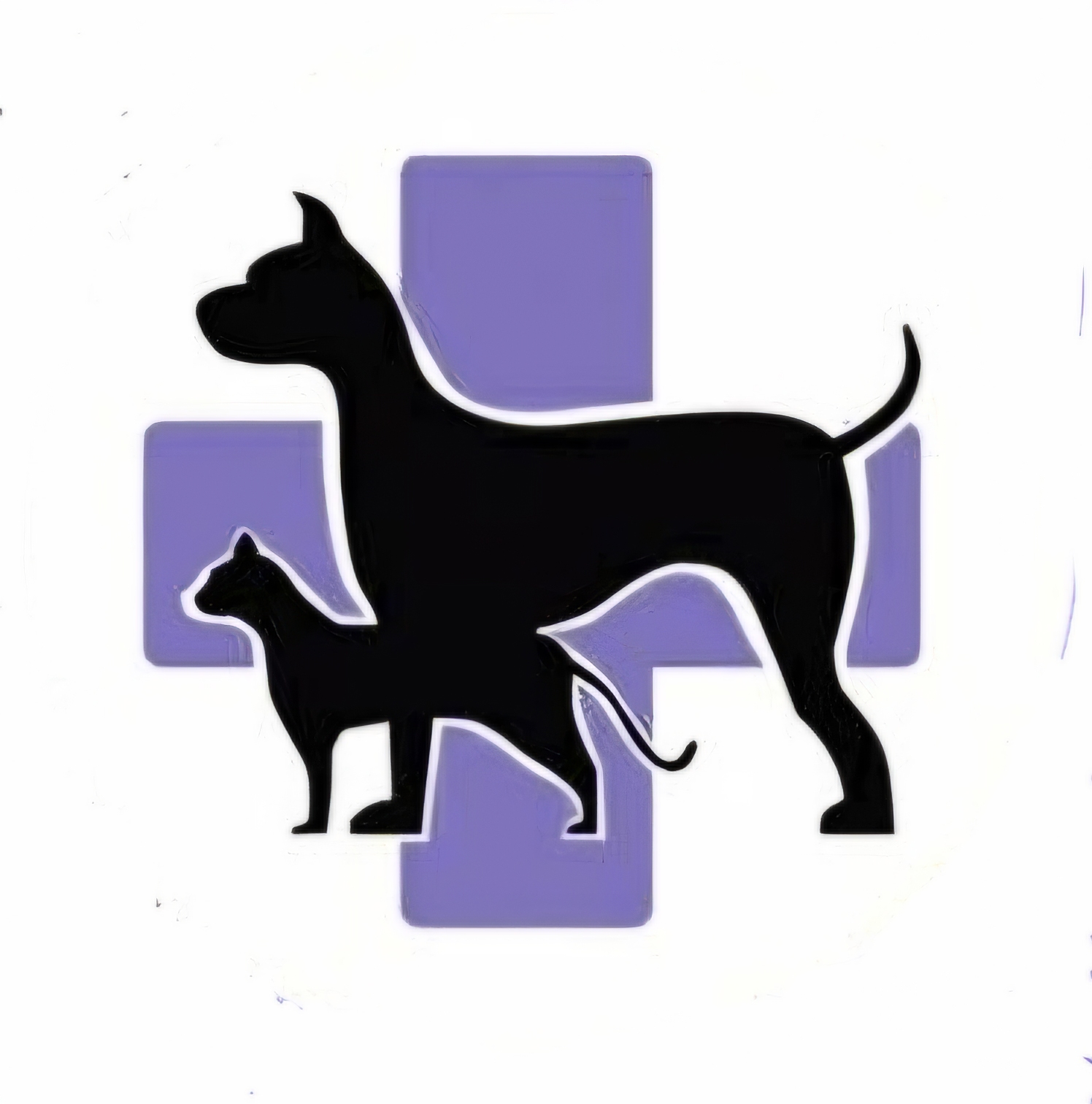 Dr. Martín L., Espacio Vet