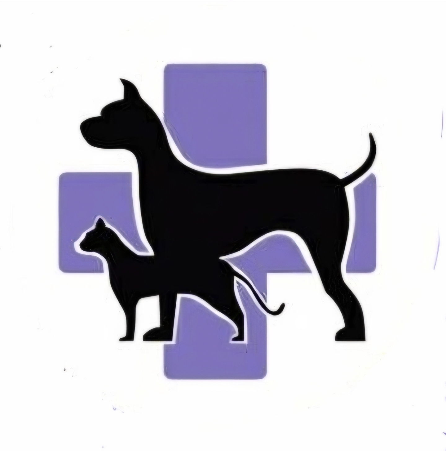 Dr. Martín L., Espacio Vet