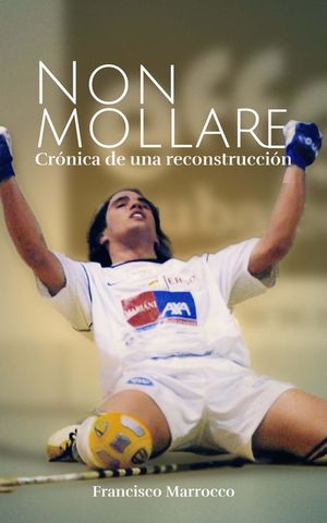 Ebook. ¨Non mollare¨: crónica de una reconstrucción
