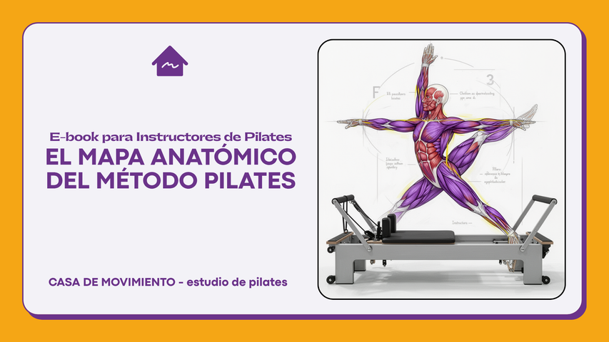 El mapa anatómico del Método Pilates