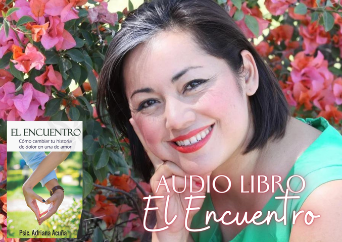 Audiolibro El encuentro