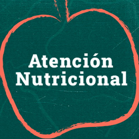 Tratamiento nutricional personalizado