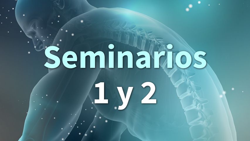 Seminarios RSC