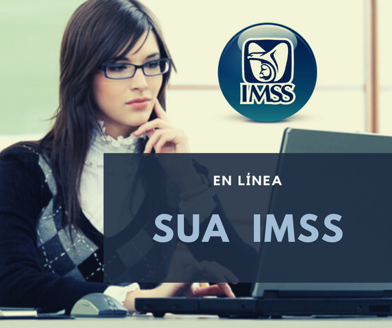 Curso de SUA IMSS 