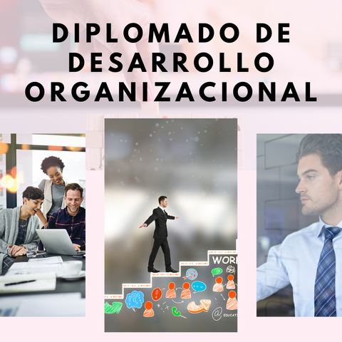 Grabación Diplomado en Desarrollo Organizacional 23-11-24