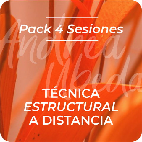 Pack 4 Sesiones - Sesión Tecnica estructural