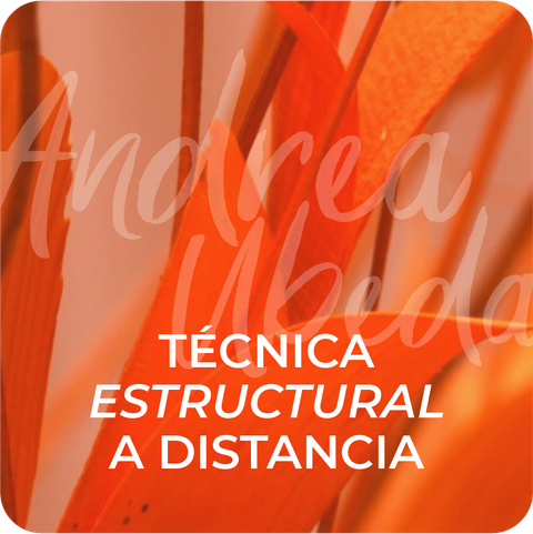 Tecnica estructural x 1 Sesión