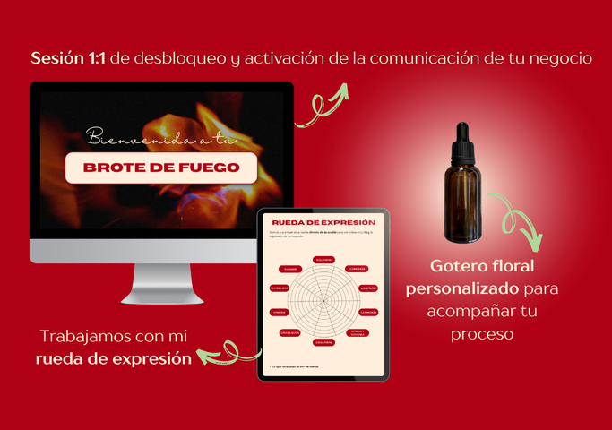 Sesión «Brote de Fuego»