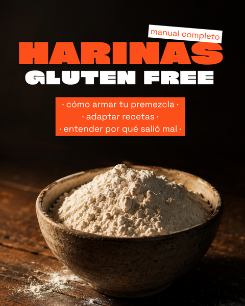 HARINAS SIN GLUTEN - MANUAL COMPLETO