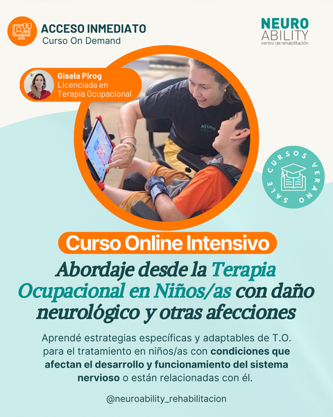Abordaje desde la TO del Niño/a con daño neurológico y otras afecciones