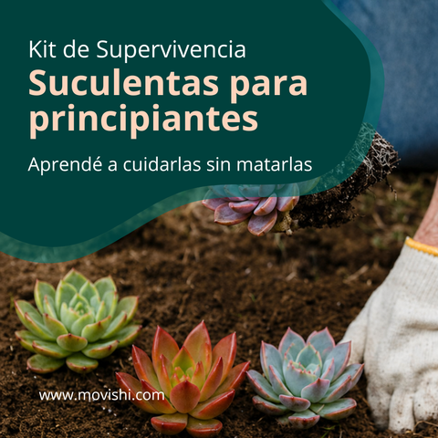 Curso para PRINCIPIANTES: El Kit de Supervivencia