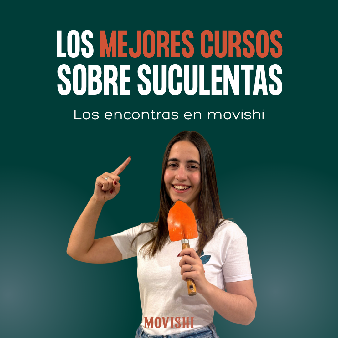 los mejores cursos cuidados suculentas