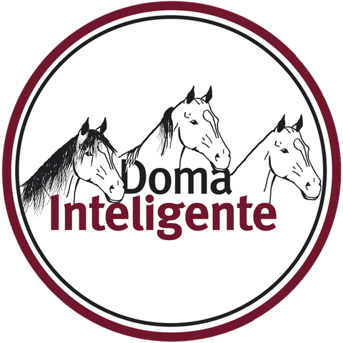 Doma Inteligente | Dr. Ignacio Saenz Valiente