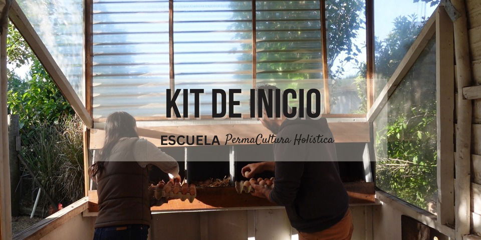 kit de inicio 