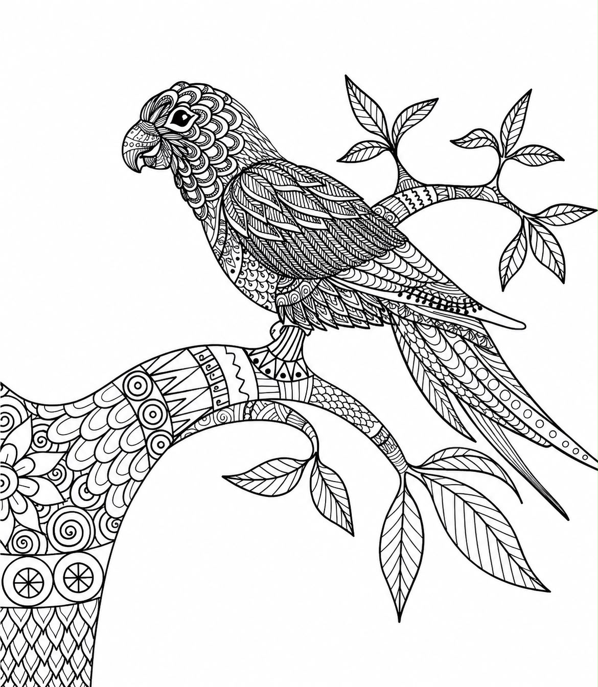 Ilustración en blanco y negro para colorear