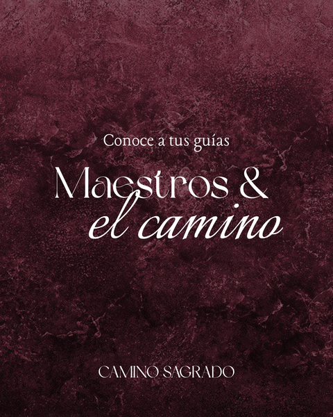 Maestros & Camino