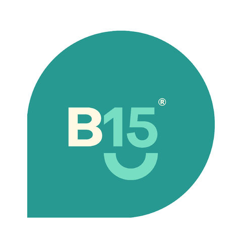 B15