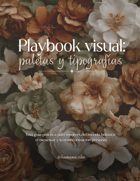 Playbook visual: paletas y tipografías