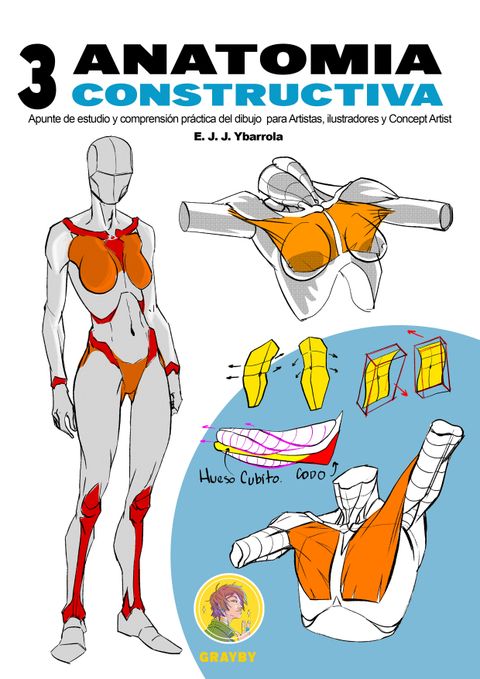 3 - Anatomía constructiva