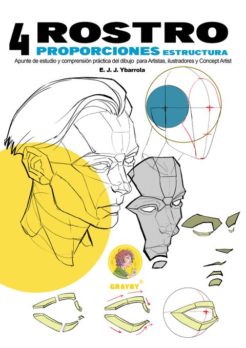 4 - Rostro, proporciones y estructura