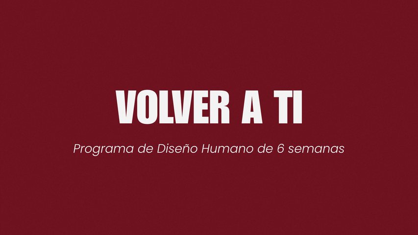 Programa Volver a Ti