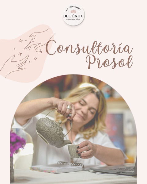 Paquete ProSol - Consutoría Privada 1 a 1 