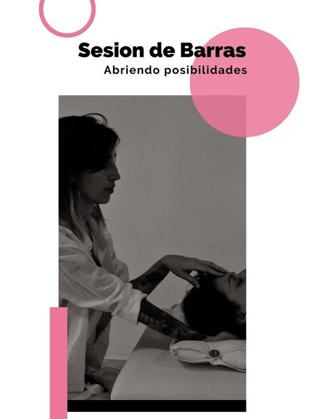 Sesion de Barras