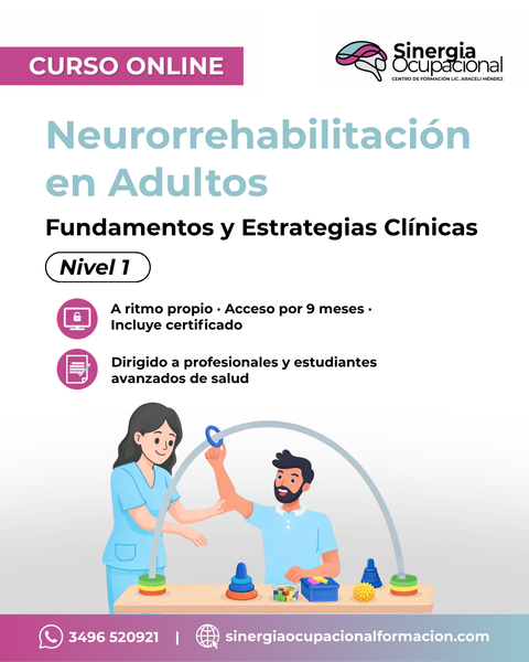 Curso Neurorrehabilitación en Adultos. Fundamentos y Estrategias Clínicas.