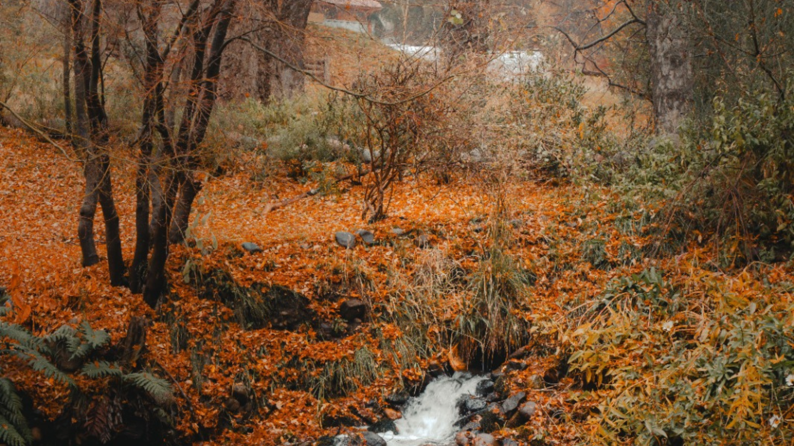 Retiro de yoga en la patagonia argentina