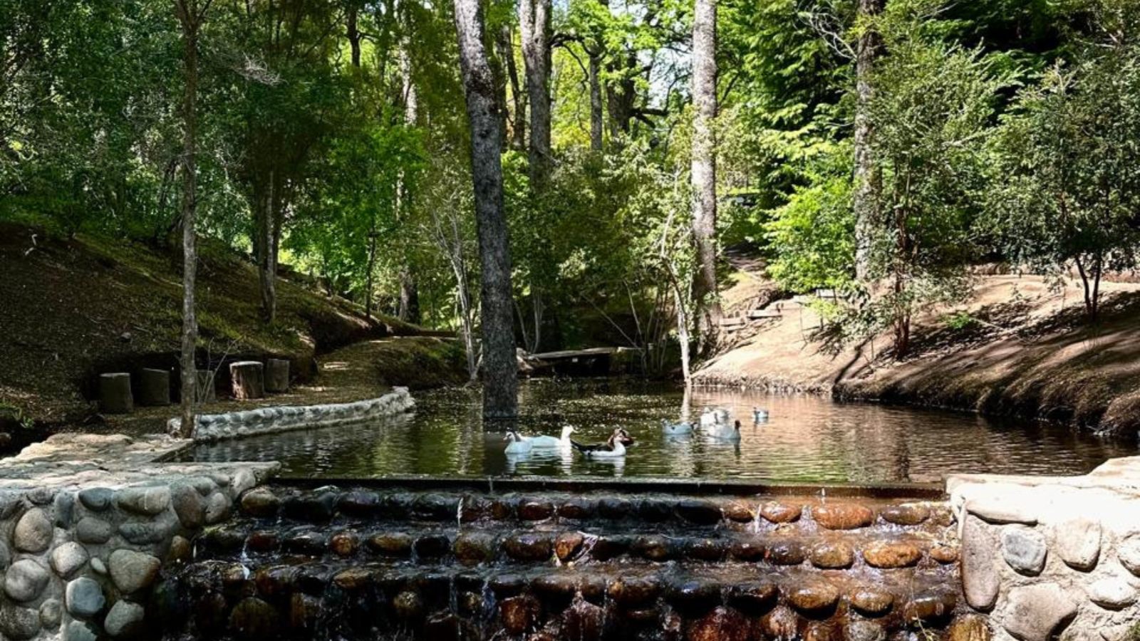 Retiro de yoga en la patagonia argentina