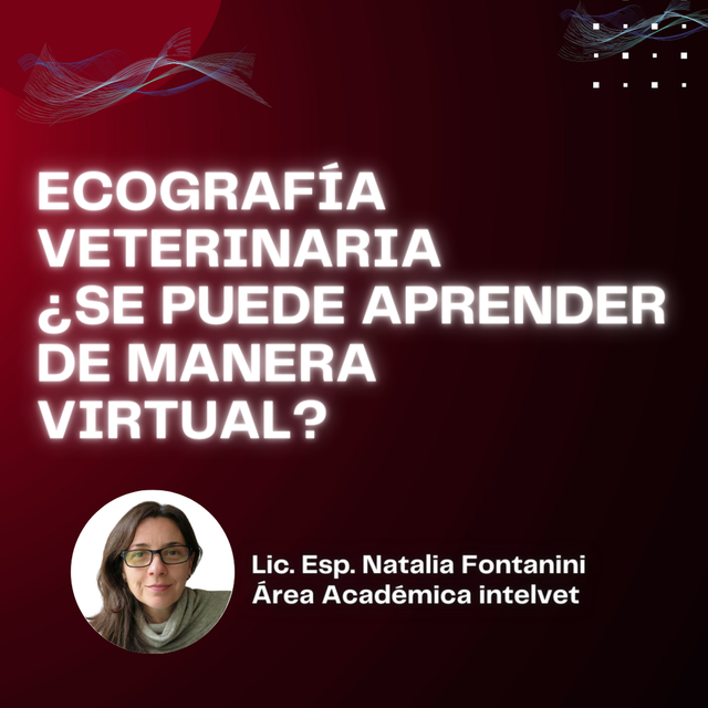 Ecografía Veterinaria ¿Se puede aprender de manera virtual?