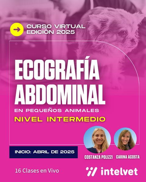 NUEVO! Curso de Ecografía Abdominal Nivel INTERMEDIO - Cohorte 2025 a cargo de Costanza Polizzi