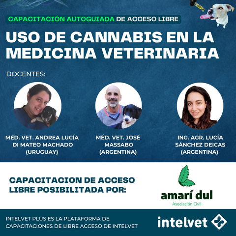 INTELVET PLUS. Capacitación de acceso libre en 