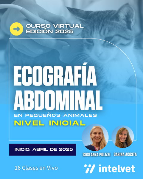 NUEVO! Curso de Ecografía Abdominal Nivel Inicial - Cohorte 2025 a cargo de Costanza Polizzi