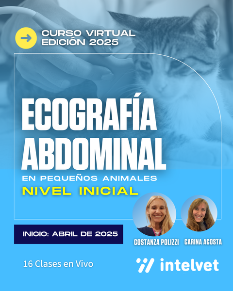 NUEVO! Curso de Ecografía Abdominal Nivel Inicial - Cohorte 2025 a cargo de Costanza Polizzi