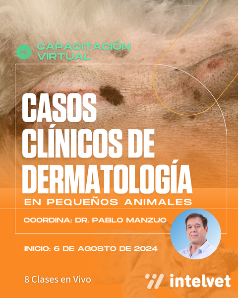 Casos Clínicos de Dermatología en Pequeños Animales