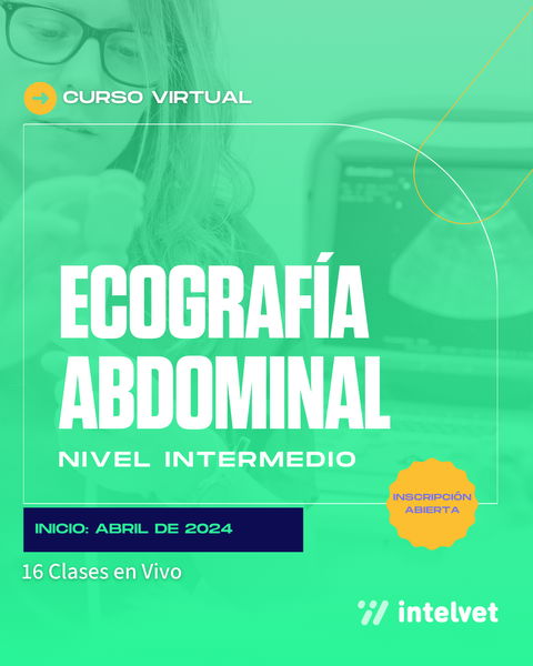 Curso de Ecografía Abdominal en Pequeños Animales - Nivel Intermedio. Coordinadora: Dra. Costanza Polizzi