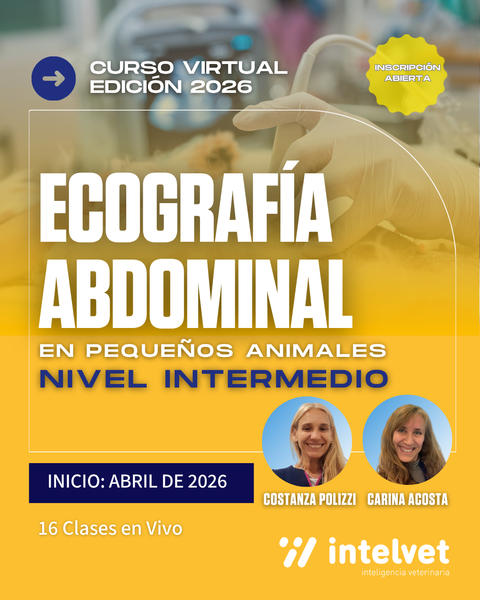 PROPUESTA 2026. Curso de Ecografía Abdominal Nivel Intermedio a cargo de Costanza Polizzi