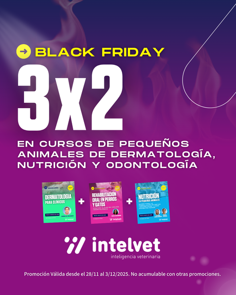 Llegó el Black Friday a Intelvet 🔥. Beneficio imperdible: 3 x 2 en cursos seleccionados