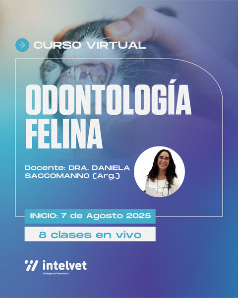 NUEVO! Curso de Odontología Felina a cargo de la Dra. Daniela Saccomanno