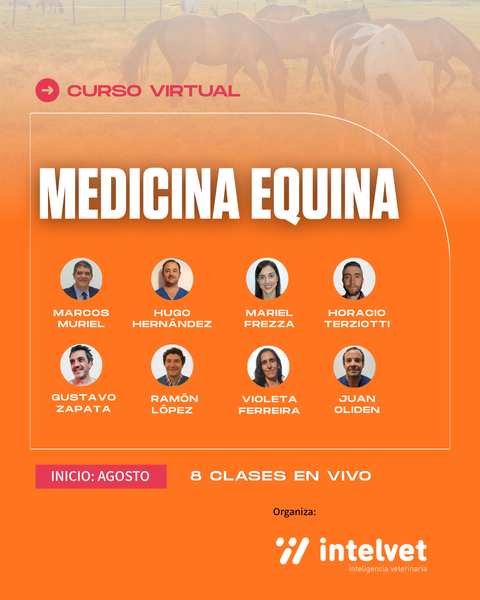NUEVO! Curso virtual en Medicina Equina 2026
