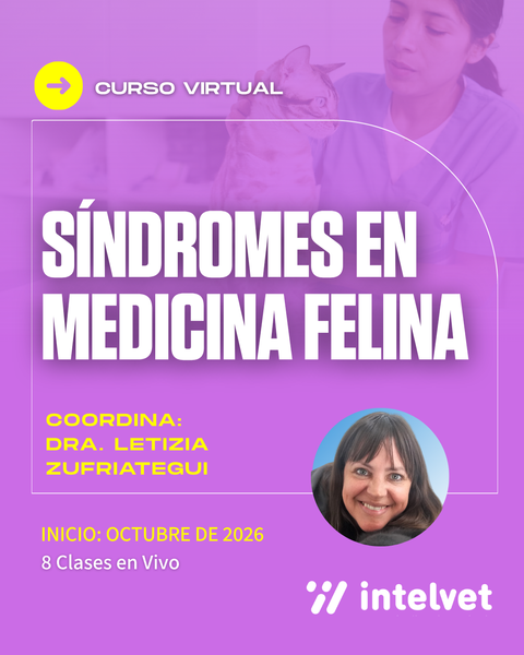 NUEVO! Curso virtual: Síndromes en Medicina Felina. Coordina Dra. Letizia Zufriategui