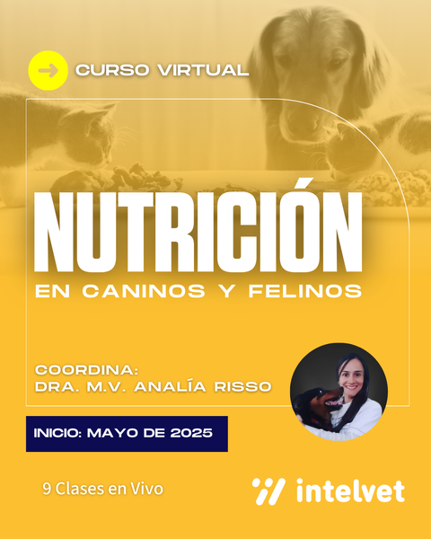 NUEVO! Curso de Nutrición en Caninos y Felinos. Coordina. Dra. M.V. Analía Risso