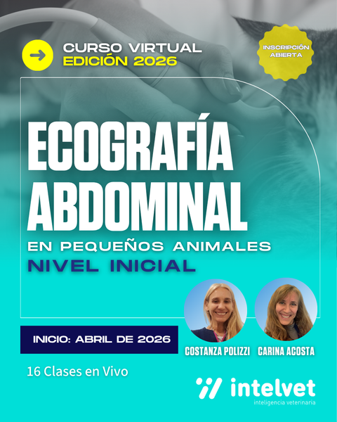 PROPUESTA 2026. Curso de Ecografía Abdominal Nivel Inicial a cargo de Costanza Polizzi