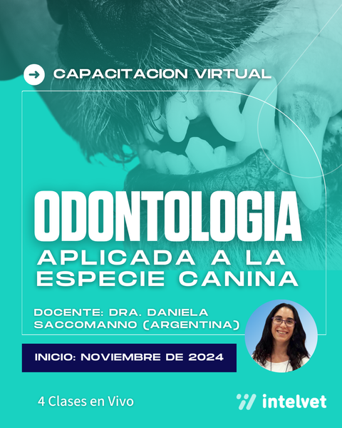 Capacitación en Odontología Aplicada a la Especie Canina