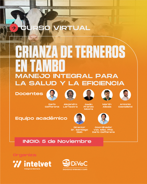 NUEVO! Curso virtual: Crianza de terneros en tambo: Manejo integral para la salud y la eficiencia