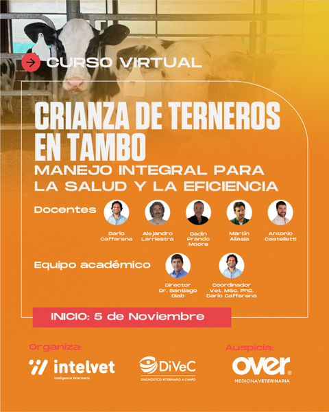 NUEVO! Curso virtual: Crianza de terneros en tambo: Manejo integral para la salud y la eficiencia