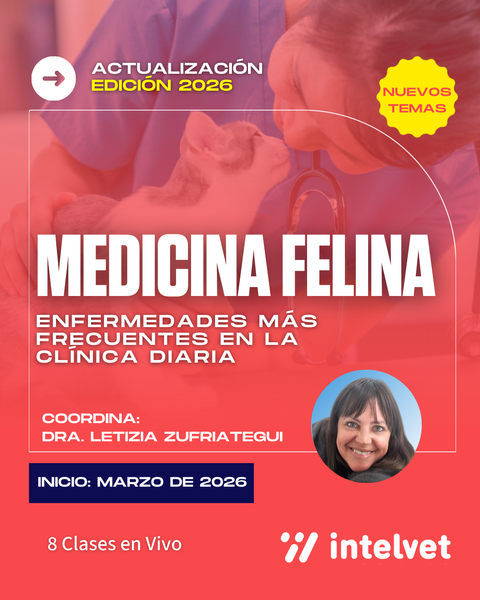 Propuesta 2026: Curso de Medicina Felina – Edición 2026 (nuevos temas). Coordina: Letizia Zufriategui