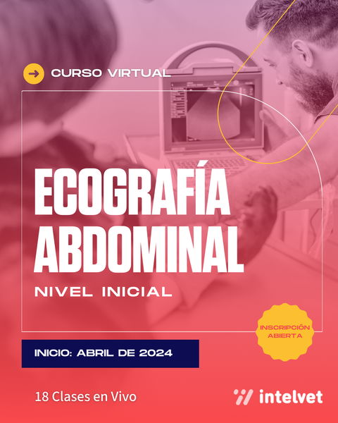 Curso de Ecografía Abdominal en Pequeños Animales - Nivel Inicial. Cohorte 2024