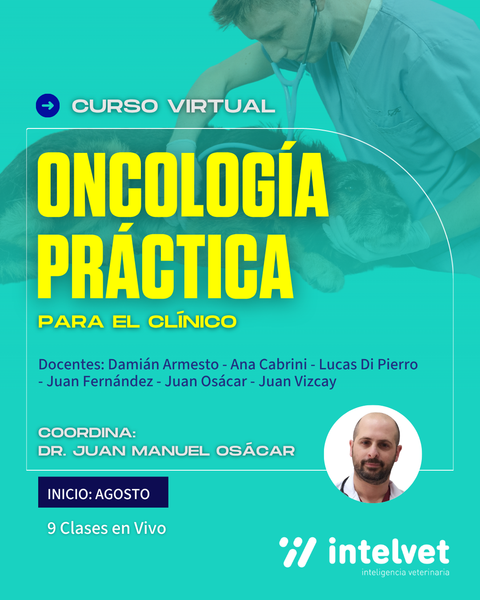 NUEVO! Curso virtual: Oncología Práctica para el Veterinario Clínico